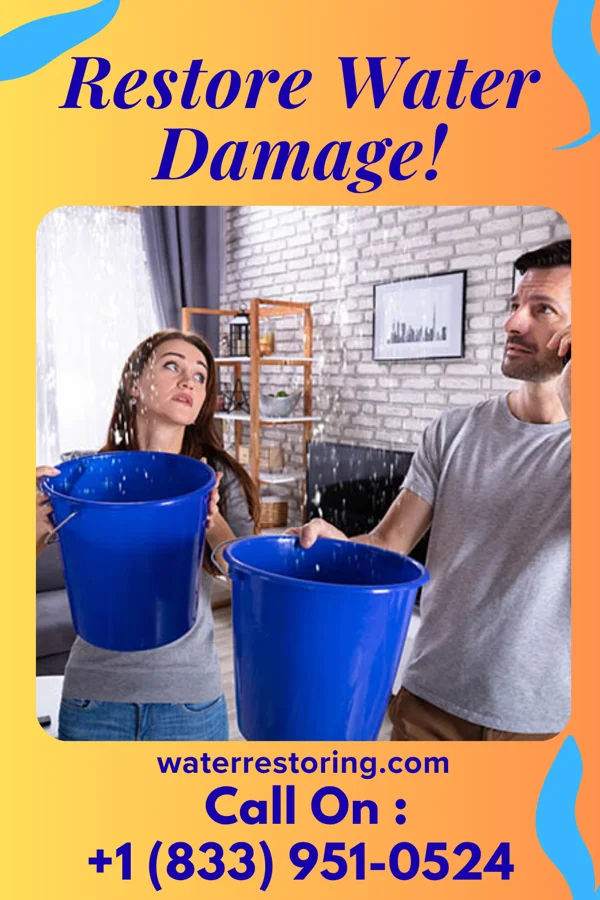 water restoration Peak Recovery Services Lynchburg