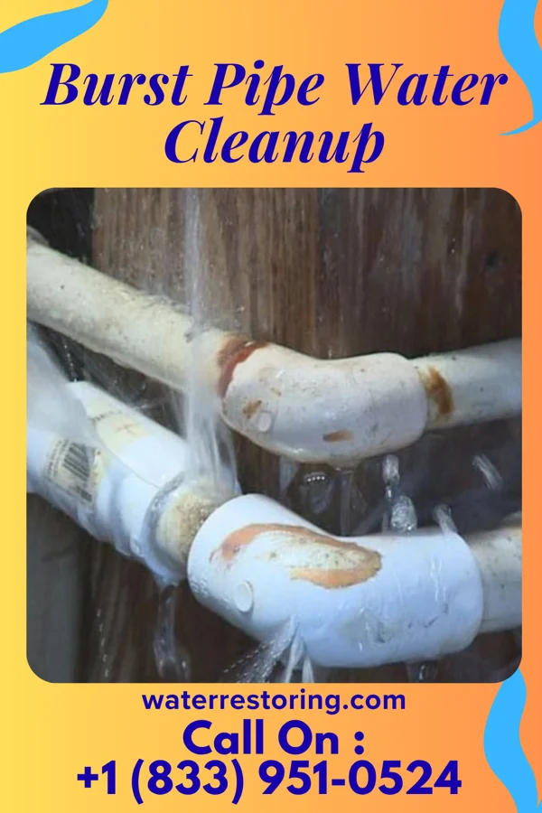 Burst Pipe Water Cleanup in Lynchburg, VA