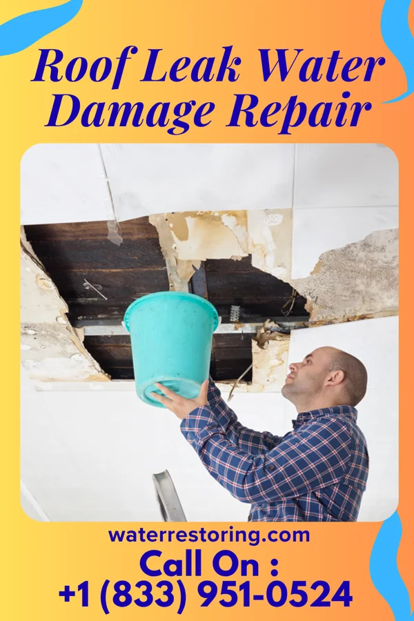Roof Leak Water Damage Repair in Lynchburg, VA
