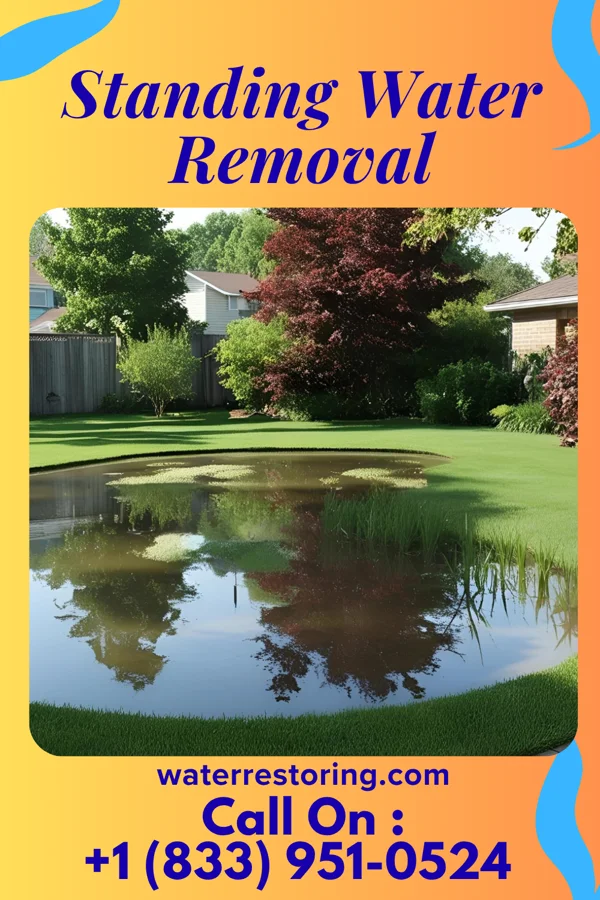 Standing Water Removal in Lynchburg, VA